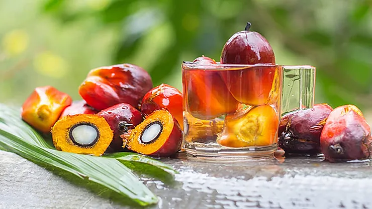 Malezya Palmiye Yağı Piyasasında Gözler OPEC+ Toplantısı ve Ramazan Bayramı Talebi Üzerinde