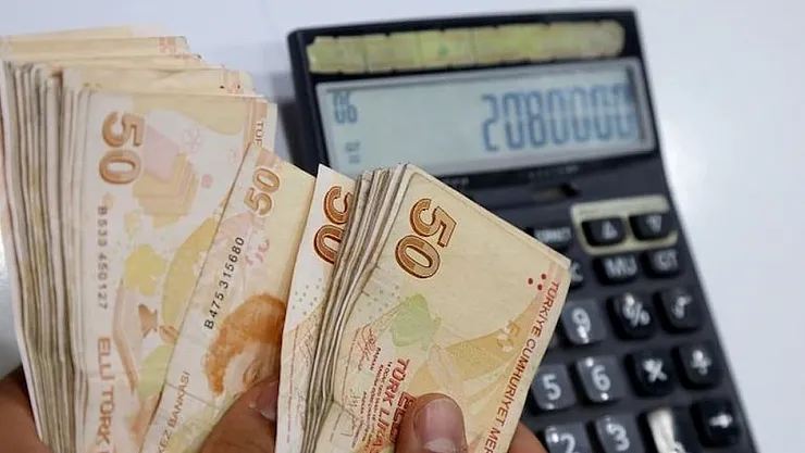 Türk Lirası ve Dolar, Döviz Piyasasında Yükselişe Geçti: İsveç ve Norveç Kronları Kaybedenler Arasında