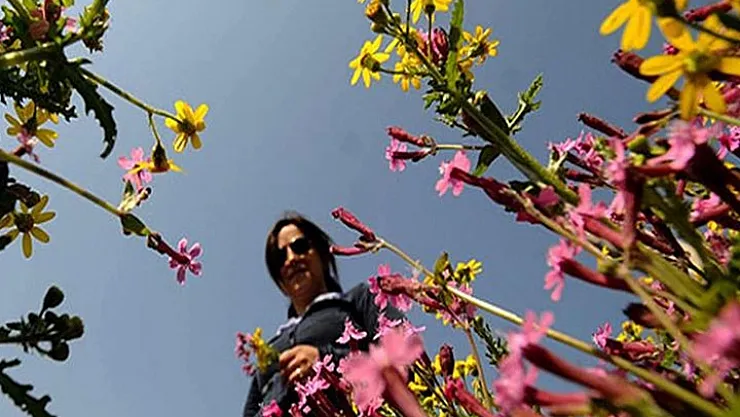 Bayram tatilinde hava nasıl olacak? Bakan Özhaseki duyurdu: Okumadan dışarı çıkmayın