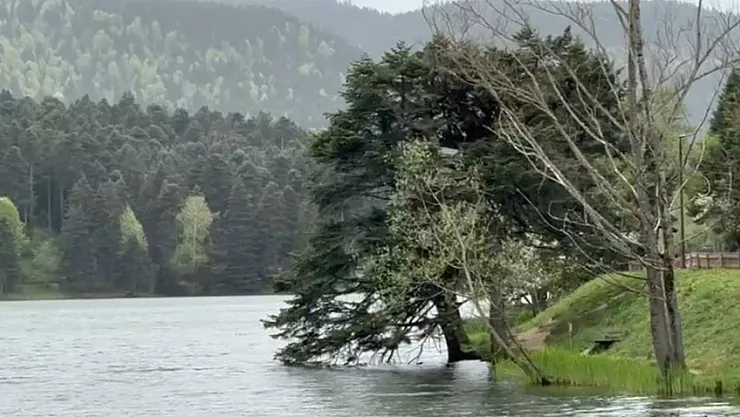 Şiddeteli fırtına etkili oluyor! Ekipler acil müdahaleye geçti: Ağaçlar yıkıldı yıkılacak