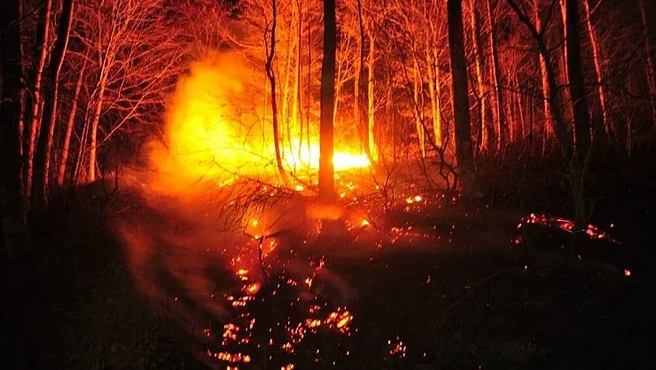 Mahalle tahliye edildi! Bir orman yangını daha çıktı: Müdahale devam ediyor