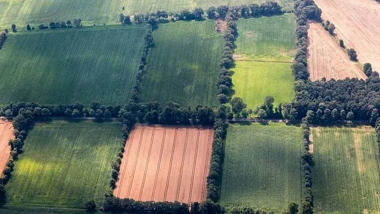 Arsa almak isteyenler dikkat! 24 ay vadeli arsa satışları yapılıyor!