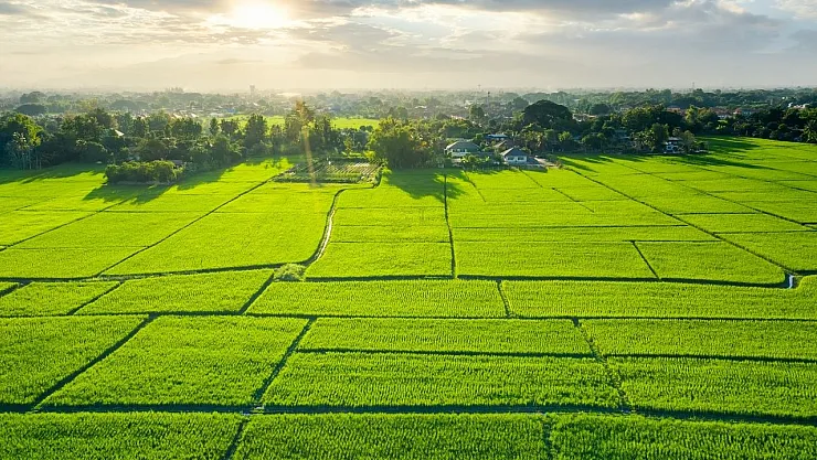 Arsa Satışlarında Patlama: Marmara ve Ege Bölgeleri Öne Çıkıyor