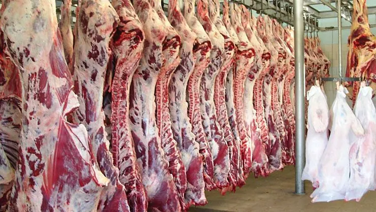 Karkas Et Kesim Fiyatlarına Büyük Zam! İşte Son Durum ve Bölgelere Göre Fiyatlar