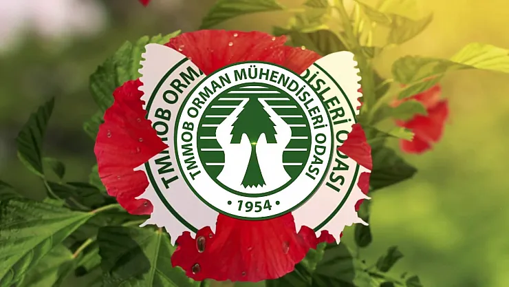 TMMOB Orman Mühendisleri Odası'ndan Büyük Fırsat: SMM Sınavıyla Kariyerinizde Zirveye Ulaşın!