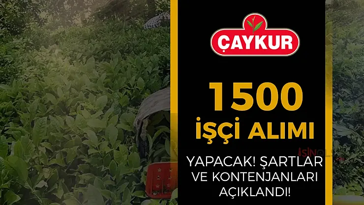 ÇAYKUR 1500 İşçi Alımı Yapacak: Karadeniz'de İş Dünyasını Sallayacak Dev Fırsat Kapıda!