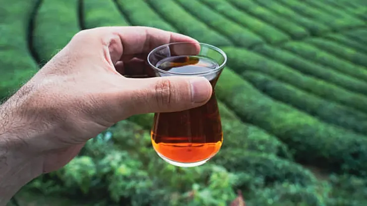 Çaykur'dan Dev İstihdam Hamlesi: 1500 İşçi Alımı İçin Başvurular Kapıda!