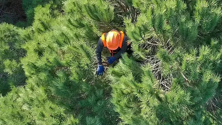 OGM 4.500 işçi alımı kura sonucu sorgulama ekranı OGM işçi alımı kura sonuçları açıklandı mı?