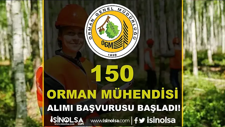 OGM 2025 Yılında 150 Orman Mühendisi Alımı İçin Başvurular Başladı! Kadro Sınırlı, Rekabet Yoğun
