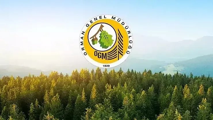Orman Genel Müdürlüğü'nden Tarihi Atama Hamlesi: 3.477 Kişiye İstihdam Kapısı Aralanıyor!