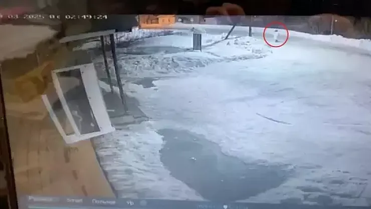 KORKUNÇ AYI SALDIRISI: Kadının Son Yolculuğu Kameralara Böyle Yansıdı!'