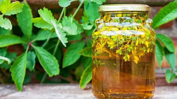 Kantaron yağının cilde zararı var mı?