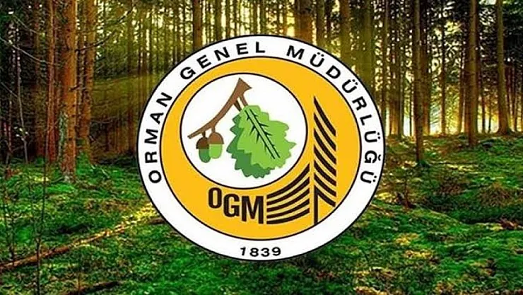 OGM'den 150 Sözleşmeli Orman Mühendisi Alımı: Sınav Tarihleri Açıklandı