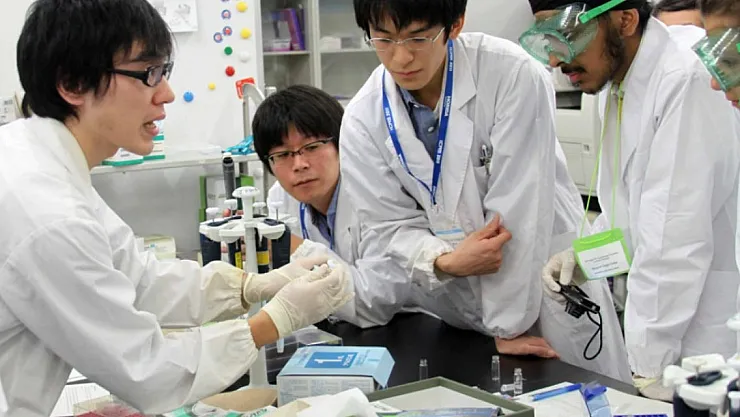 Bilim İnsanları Damar İçeren Yapay Tavuk Nugget Üretti