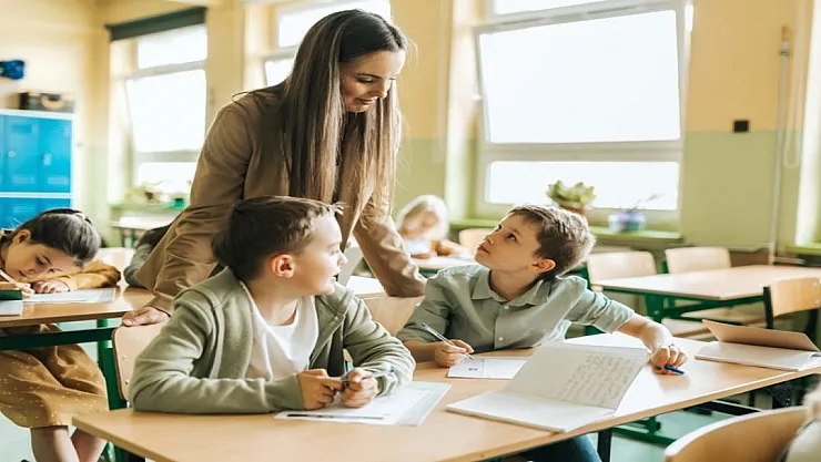 Formasyon yapmak ne demek?