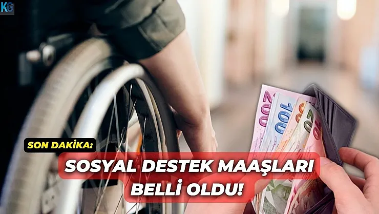 Sosyal destek maaşları belli oldu! Engelli aylığı, kronik hastalık yardımı, ne kadar oldu Ağustos 2022?