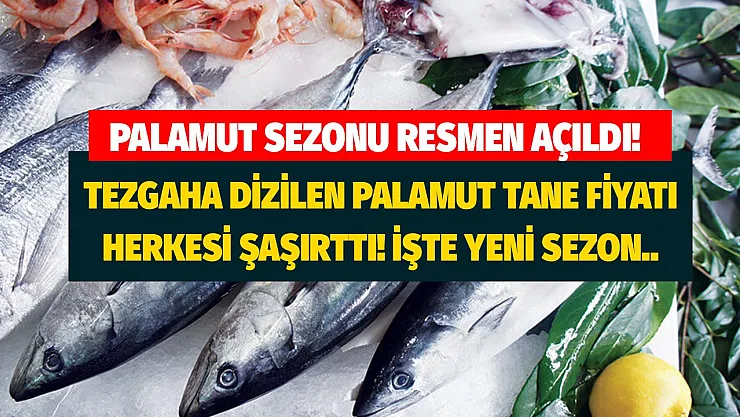 İstanbul'da ilk palamutlar tezgaha yerleştirildi! Sezonun ilk palamut tane fiyatları elleri cepten çıkartmıyor