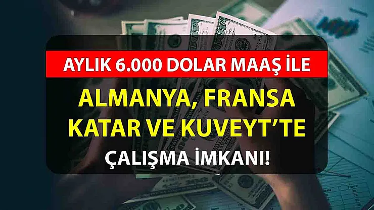 Aylık 6000 dolar maaş ile çalışmak isteyen kişiler için ilan yayınlandı! Almanya, Fransa, Katar ve Kuveyt'te çalışma imkanı!