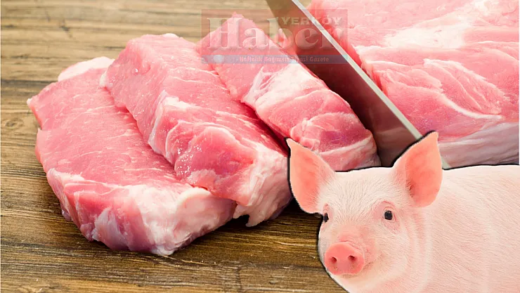 Allah domuz etini neden yasakladı?