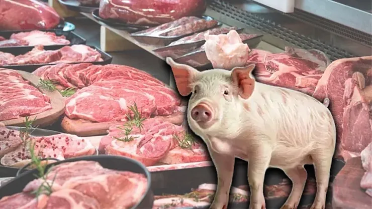 Bakanlık açıkladı: 4 işletmede daha domuz eti tespit edildi!