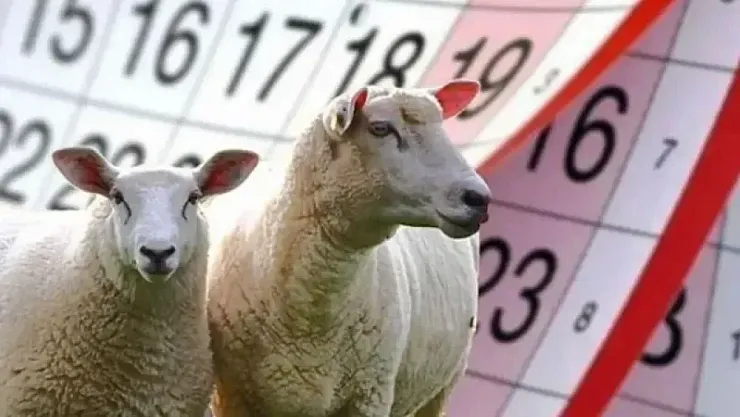 Bayram tatili 10 güne çıkarsa memur ve emekli zammı düşebilir!