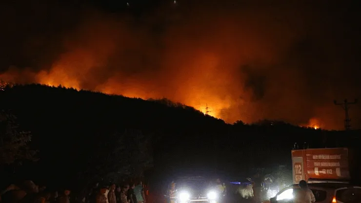 Hatay Dörtyol'da orman yangını: 2 bine yakın kişi tahliye edildi