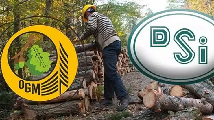 KPSS şartsız personel alımı! DSİ, OGM ve kaymakamlıklara binlerce kişi istihdam edilecek