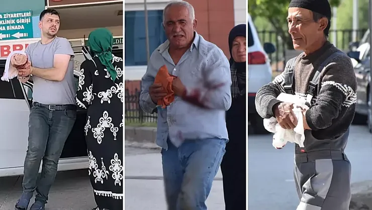 Kurban Bayramı'nda gelenek bozulmadı: Acil servisler acemi kasaplarla doldu