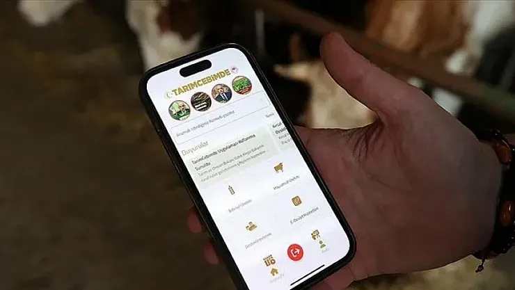 Kurbanlık alacaklara dijital kolaylık: 'Tarım Cebimde' ile küpe numarasından sorgulama