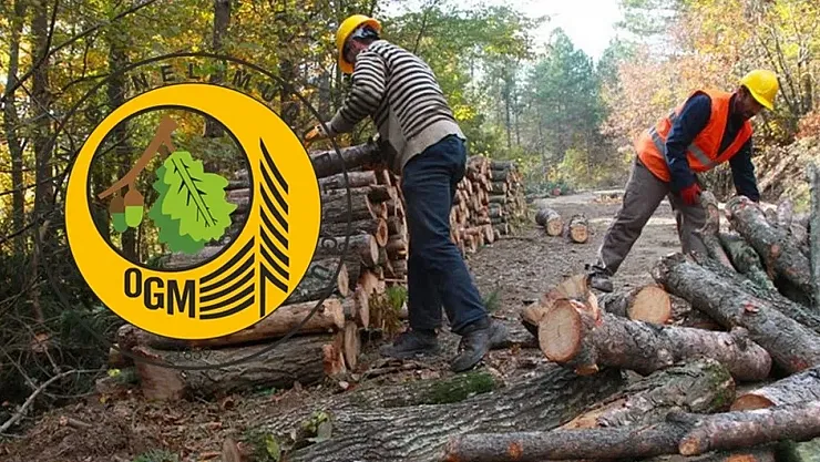 Orman Genel Müdürlüğü'nden 69 işçi alımı