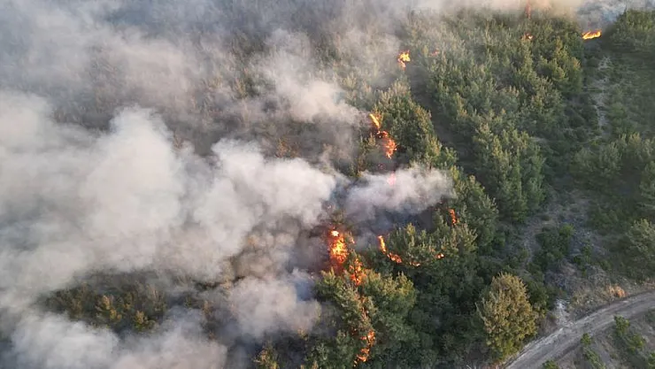 Tekirdağ Şarköy'deki orman yangını yerleşim yerlerini tehdit ediyor