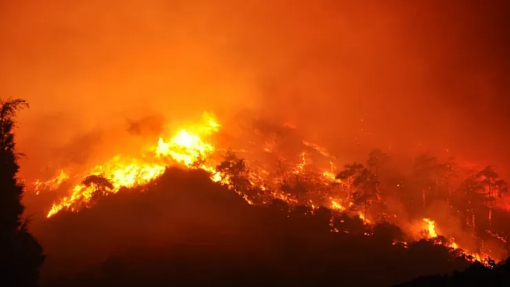 Türkiye alev alev: Çeşme ve Ödemiş'te orman yangınları büyüyor!