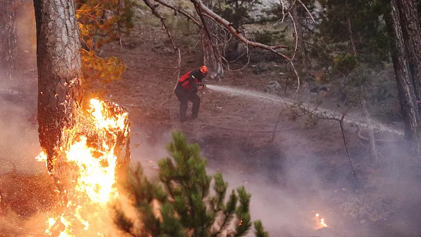 Antalya'da çıkan ikinci orman yangını kontrol altına alındı