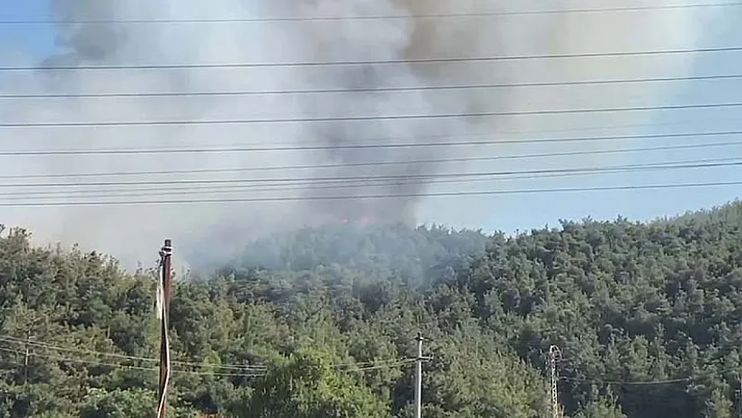 Manisa'da orman yangınına müdahale sürüyor