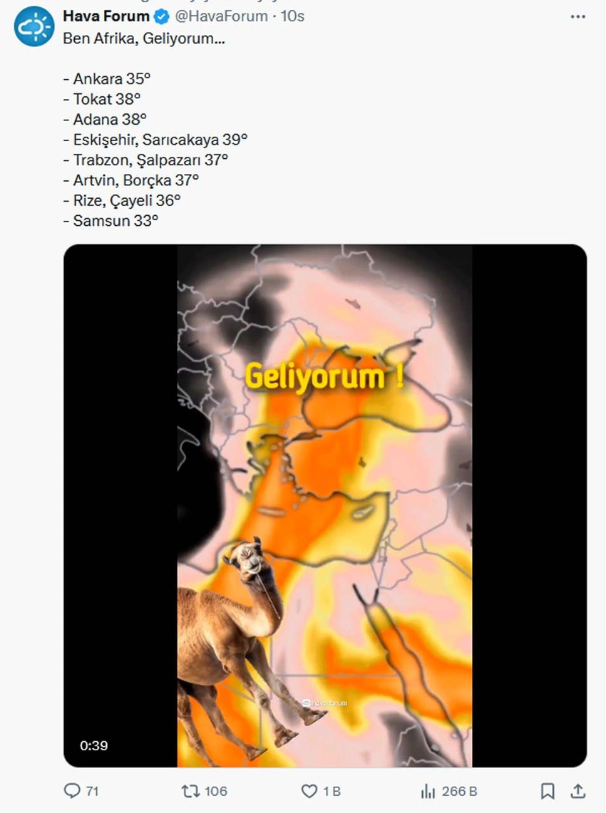 forum.webp