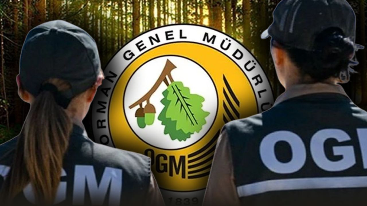 ogm-isci-alimi-kura-sonuclari-aciklandi-mi-ogm-4500-isci-alimi-kura-sonucu-sorgulama-ekrani-17437576857687.jpg