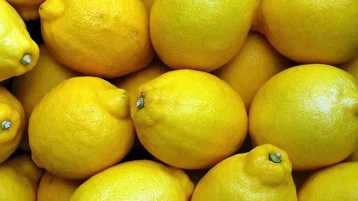limon-fiyatlarinda-istikrar-ve-mucadele-basliyor-001.jpeg